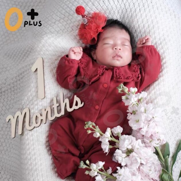 木質週歲生日抓周佈置 寶寶拍照道具：圖片 8